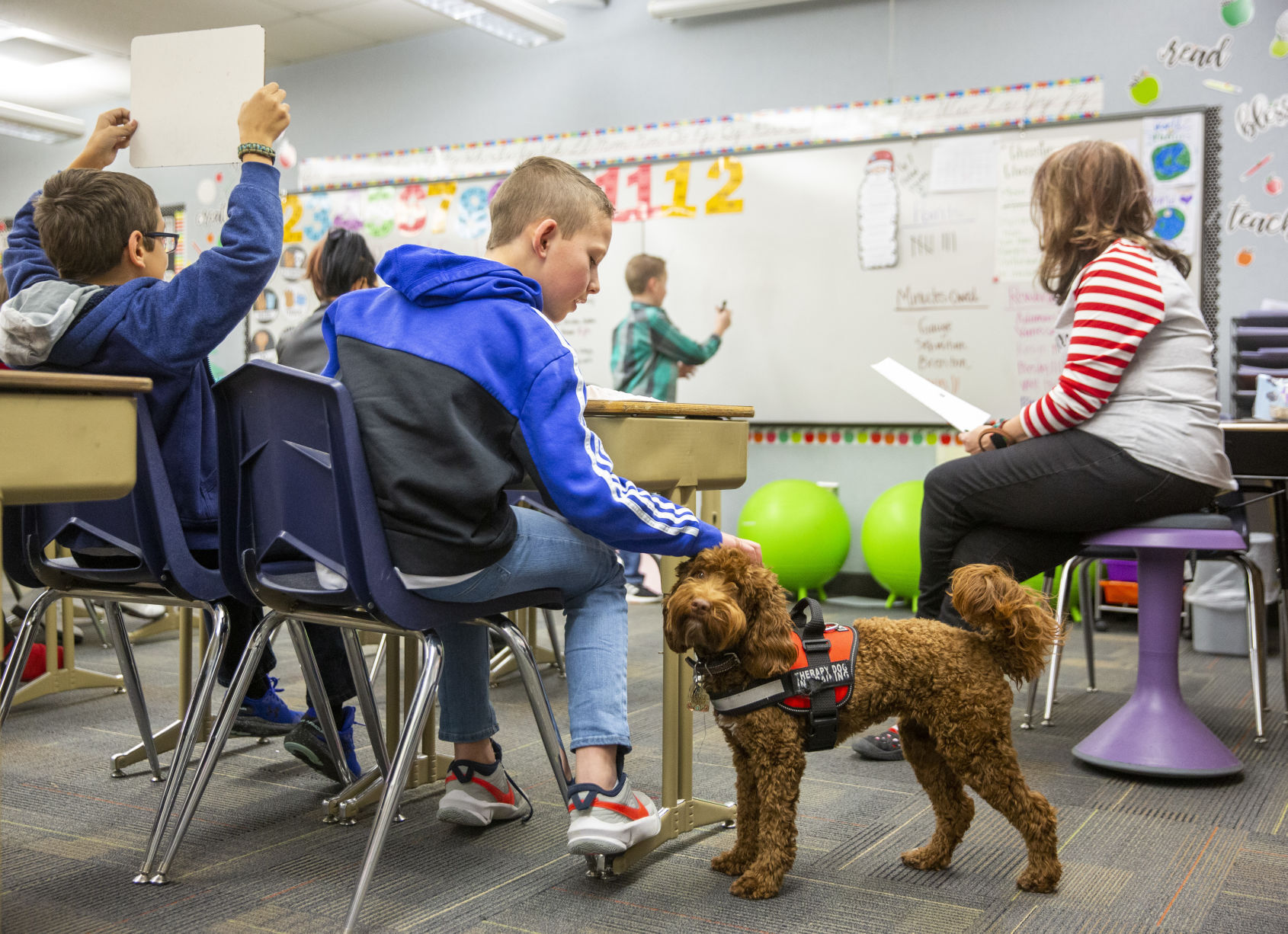 Therapy dogs at White Pine Elementary School